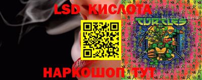 крисы Конаково