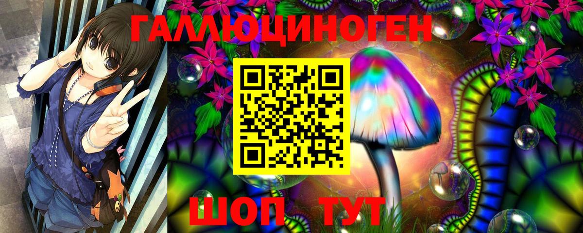 Галлюциногенные грибы Psilocybine cubensis Костомукша