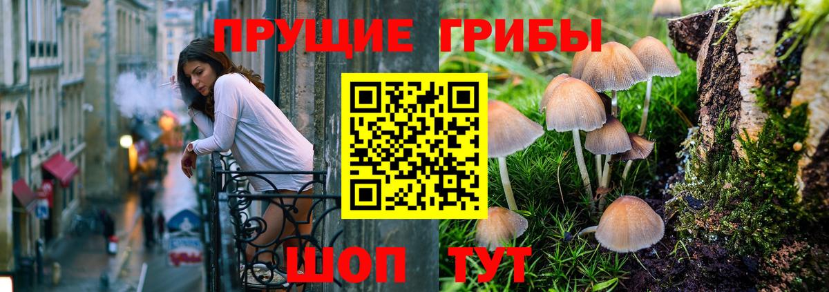 Костомукша  Галлюциногенные грибы Magic Shrooms  Вход с VPN 